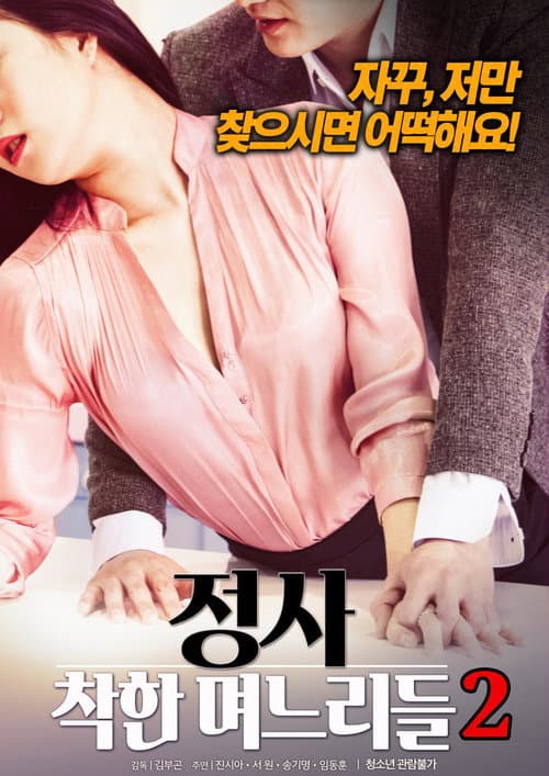 Постер: 정사 : 착한 며느리들 2