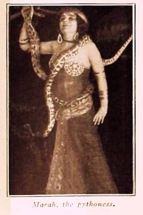 Постер: Marah, the Pythoness