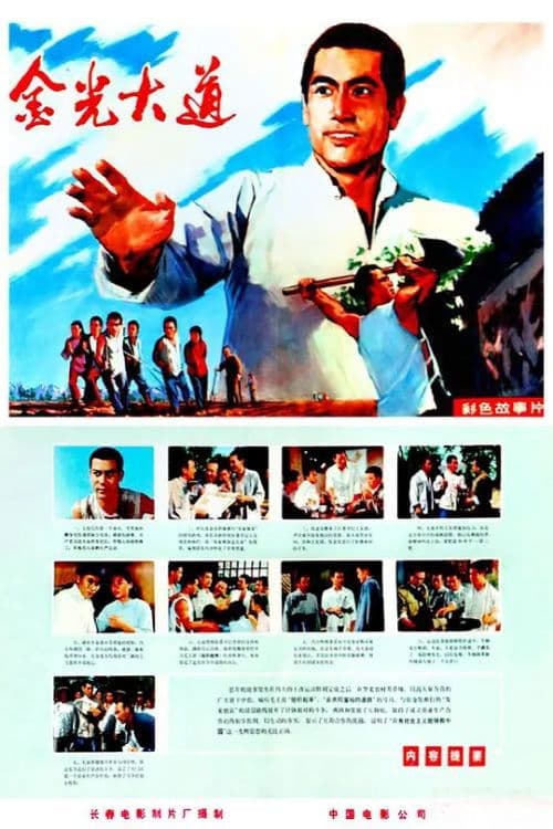 Постер: 金光大道(上集)