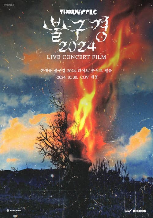 Постер: 쏜애플 불구경 2024 라이브 콘서트 필름