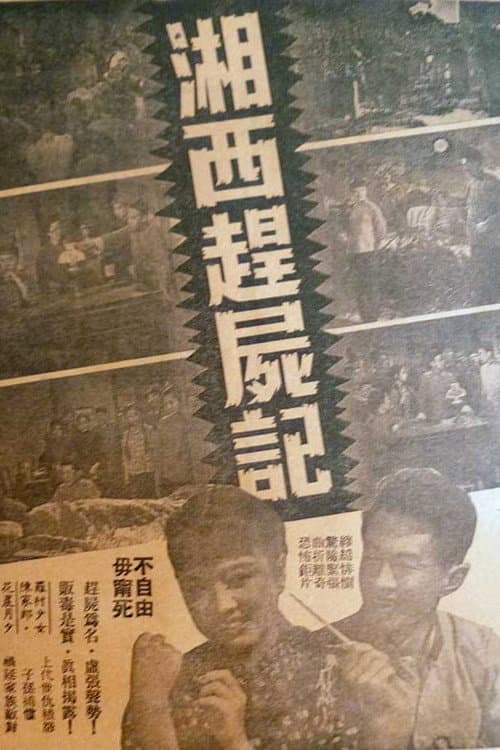 Постер: 湘西趕屍記