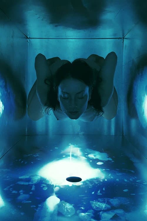 Постер: Orgone Theory