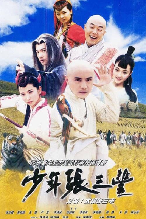 Постер: 少年张三丰