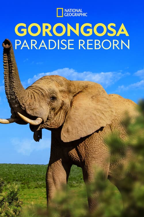 Постер: Gorongosa: Paradise Reborn