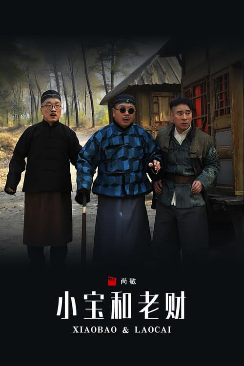 Постер: 小宝和老财