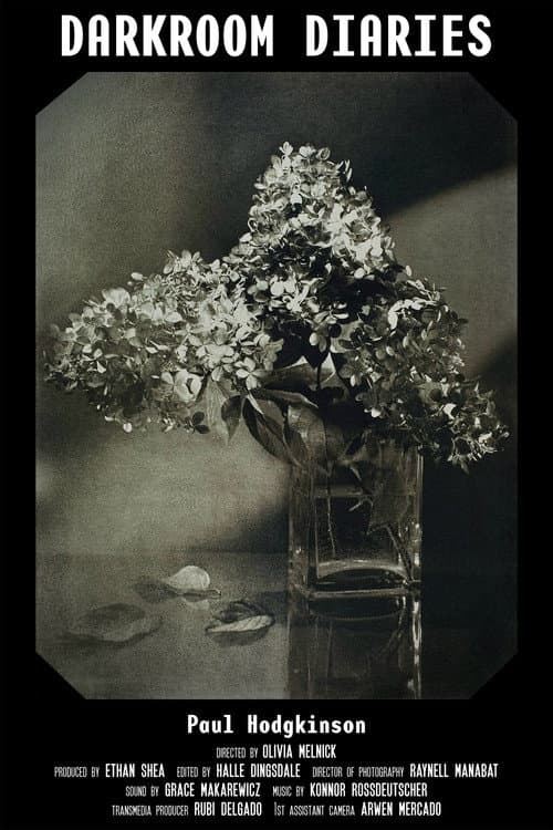 Постер: Darkroom Diaries