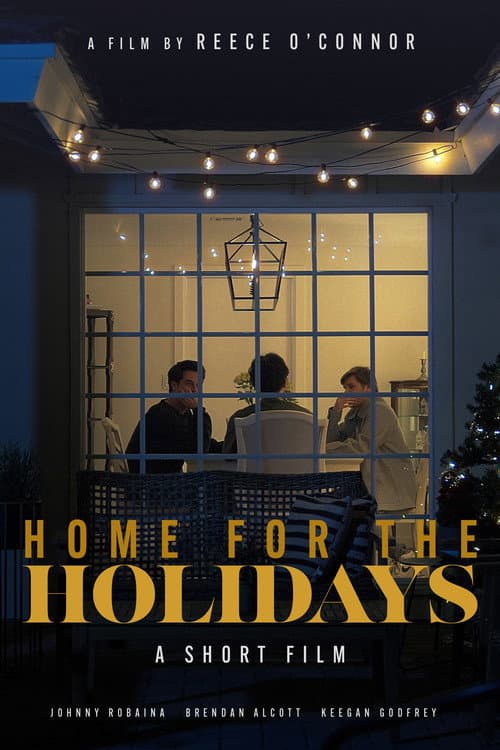 Постер: Home for the Holidays