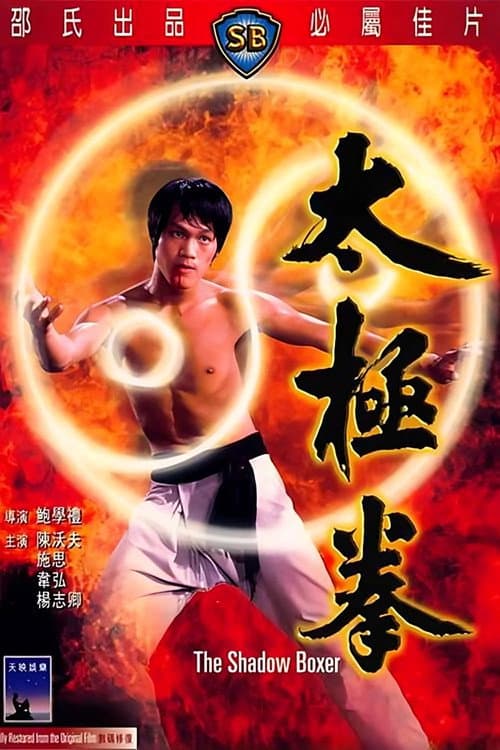 Постер: 太極拳