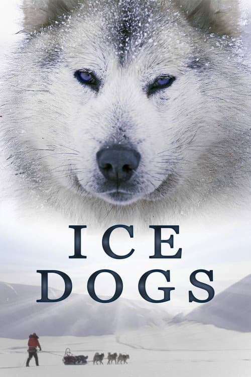 Постер: Ice Dogs: The Only Companions Worth Having