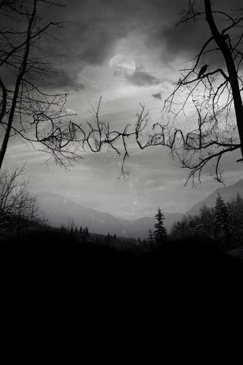 Постер: Dunderland