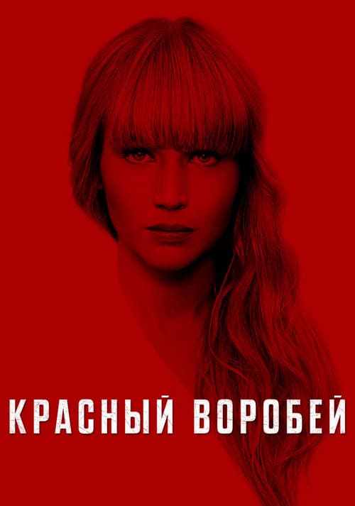 Постер 5