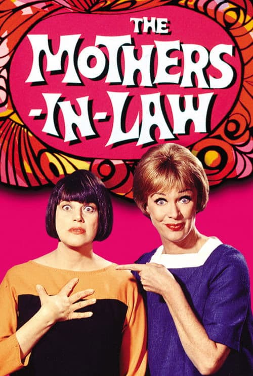 Постер: The Mothers-in-Law
