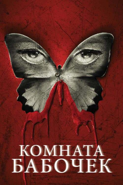 Кадр 2