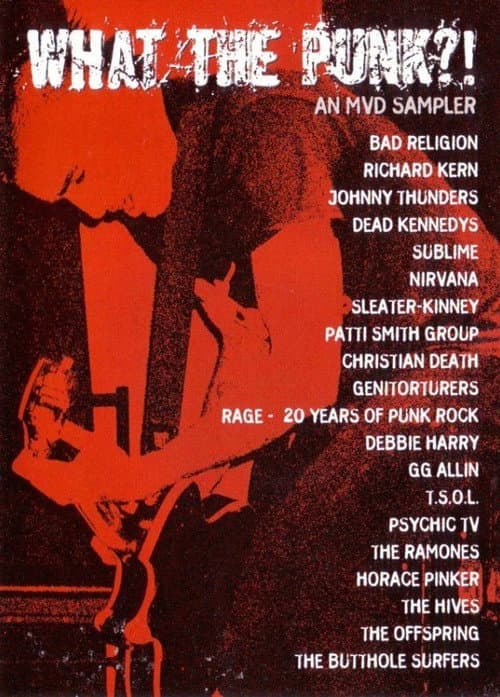 Постер: What the Punk - An MVD Sampler