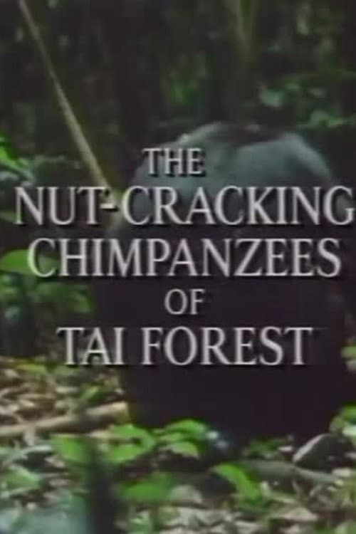 Постер: The Nut Cracking Chimpanzees of Taï Forest