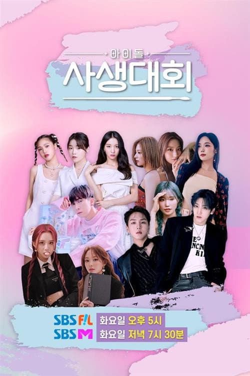 Постер: 아이돌 사생대회