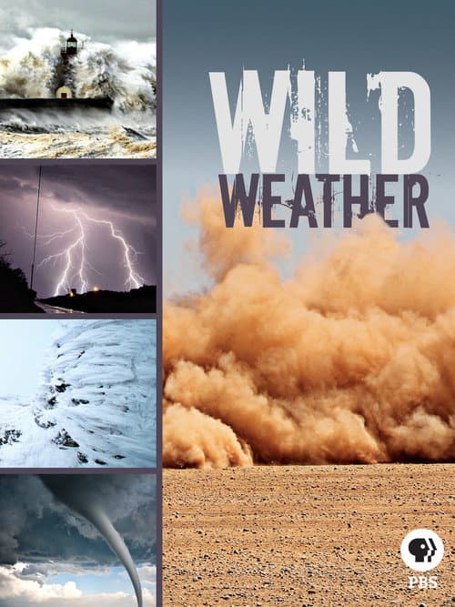 Постер: Wild Weather