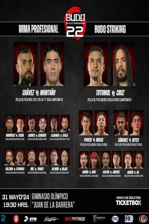 Постер: Budo Sento Championship 22
