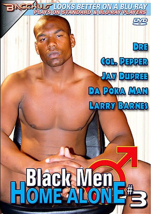Постер: Black Men Home Alone 3