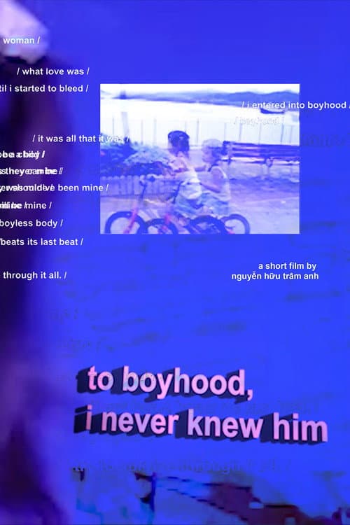 Постер: to boyhood, i never knew him