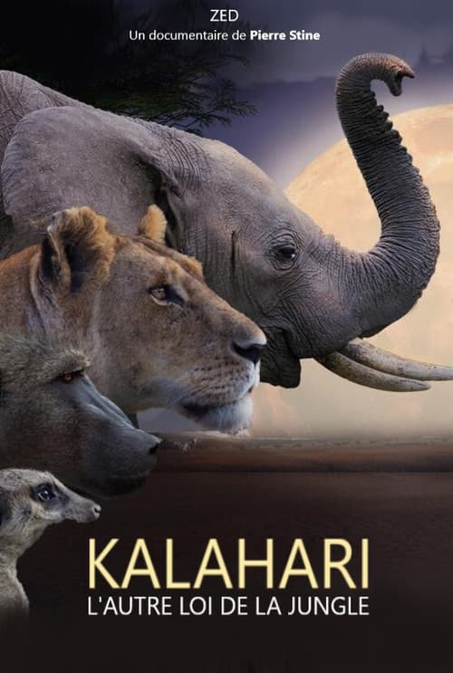 Постер: Kalahari, l'autre loi de la jungle