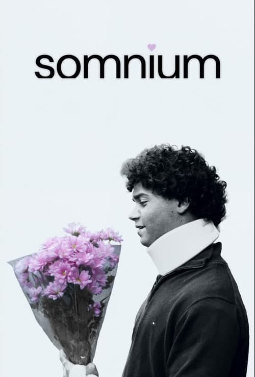 Постер: Somnium