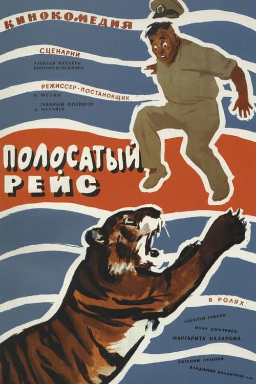 Кадр 5