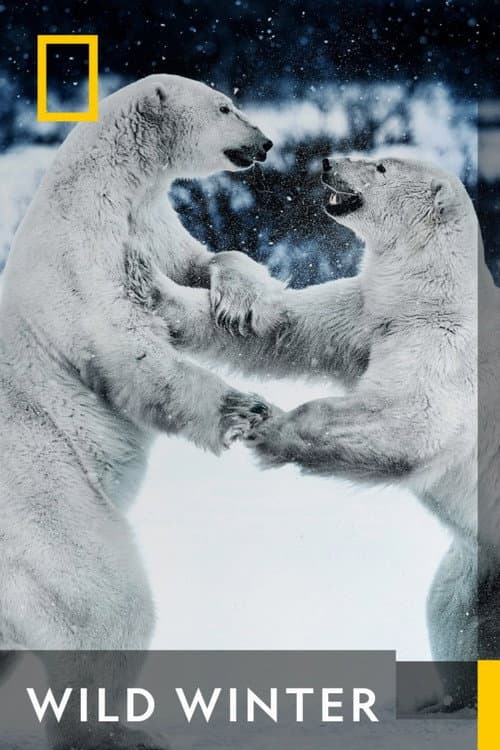 Постер: Wild Winter