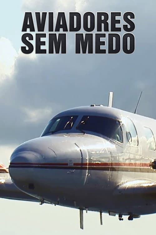 Постер: Dangerous Flights