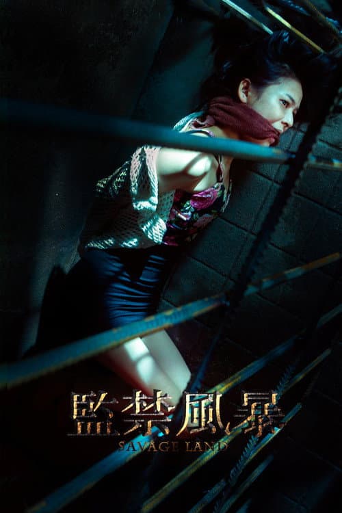 Постер: 监禁风暴