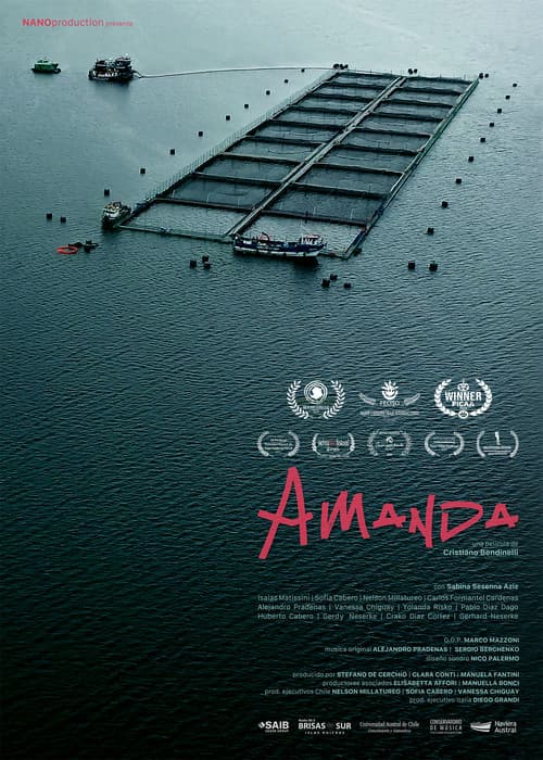 Постер: Amanda