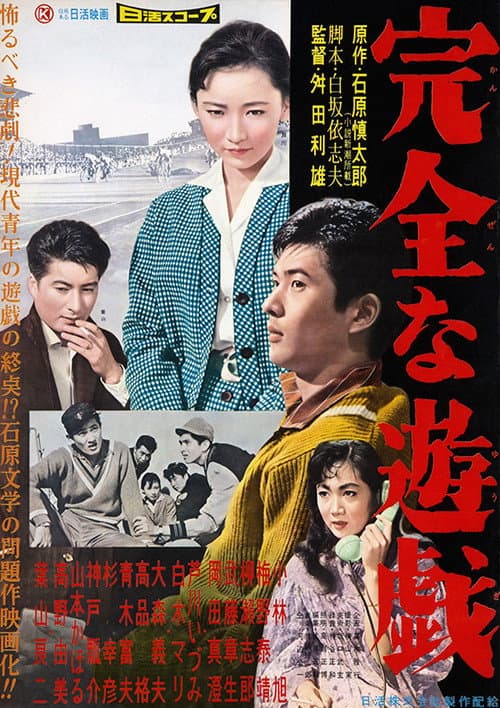 Постер: 完全な遊戯