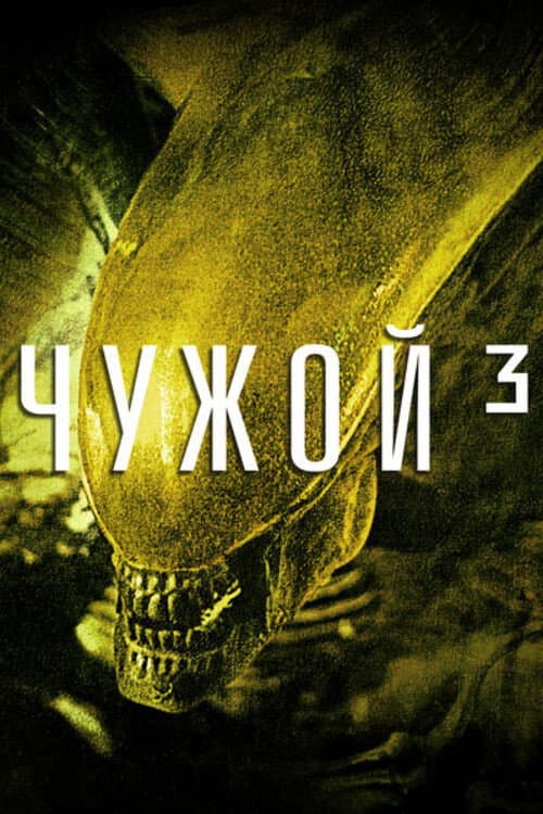 Кадр 8