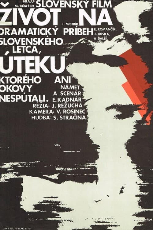 Постер: Život na úteku