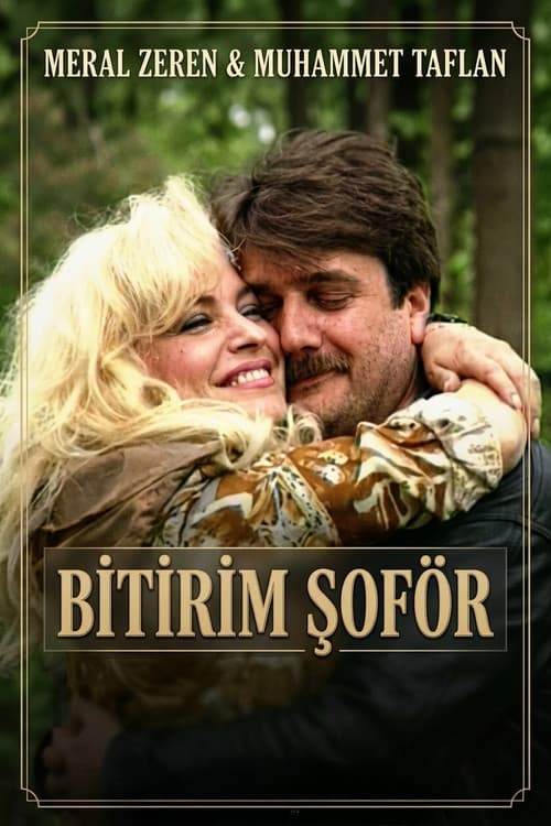 Постер: Bitirim Şoför