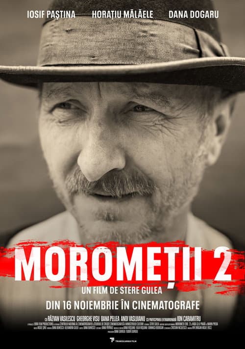 Постер: Moromeţii 2