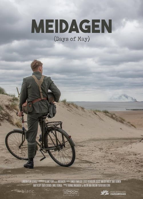 Постер: Meidagen