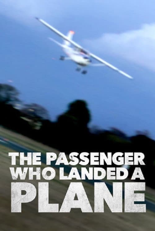 Постер: Mayday: The Passenger Who Landed a Plane