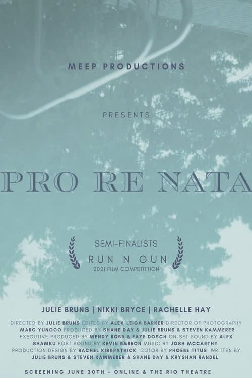 Постер: Pro Re Nata