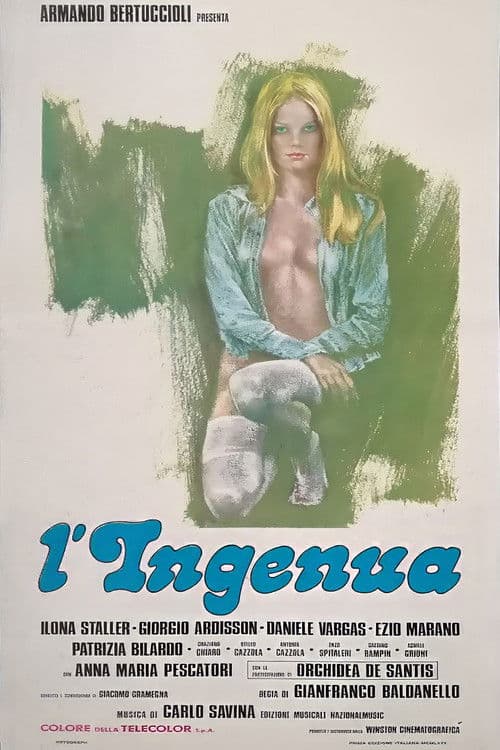 Постер: Простушка