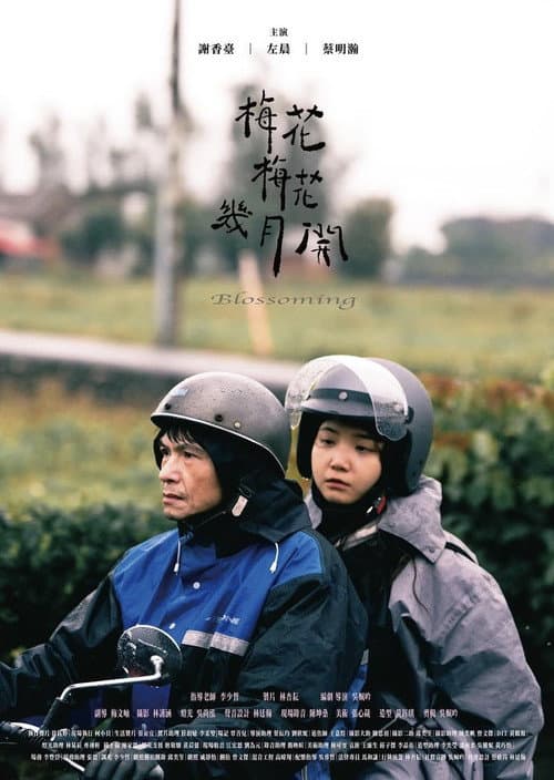 Постер: 梅花梅花幾月開