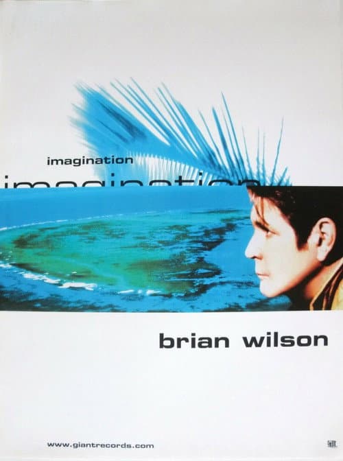 Постер: Brian Wilson’s Imagination