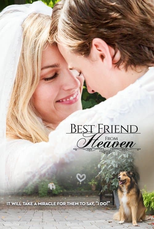 Постер: Best Friend from Heaven