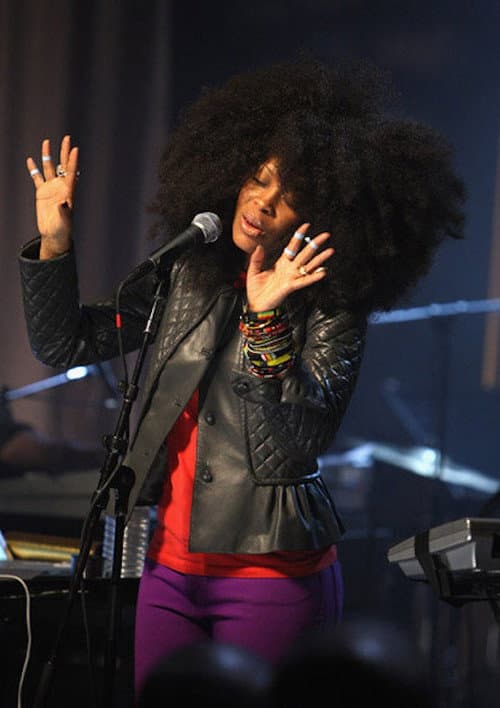 Постер: Erykah Badu Live at VH1 Soul Stage 2008