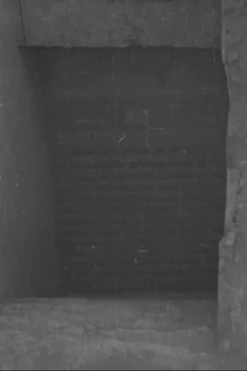 Постер: Tut-ankh Amen's Tomb (Daily Sketch Topical Budget 600-1)
