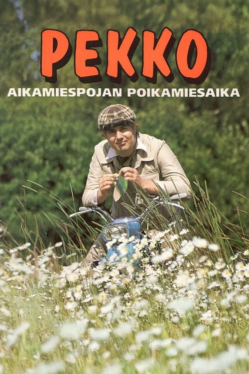 Постер: Pekko aikamiespojan poikamiesaika