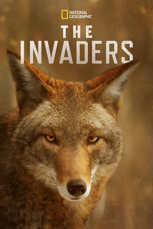 Постер: The Invaders
