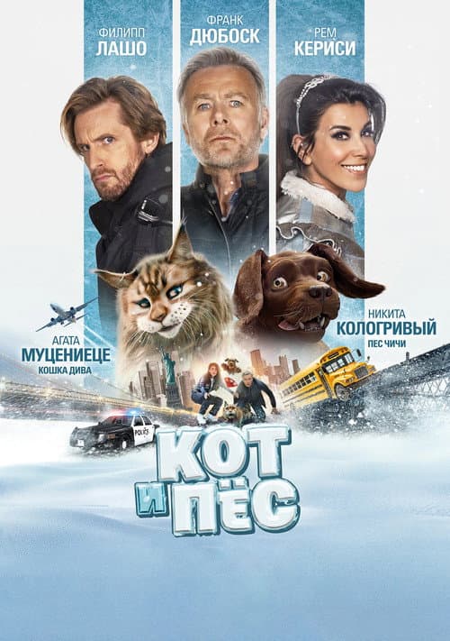 Постер: Кот и пёс