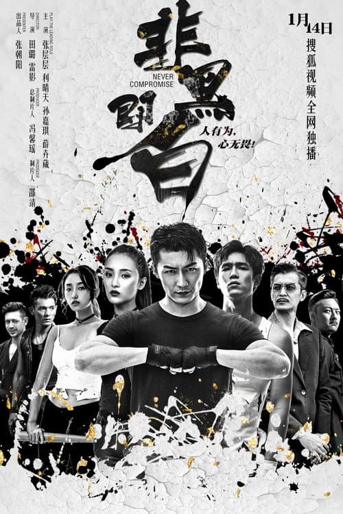 Постер: 非黑即白