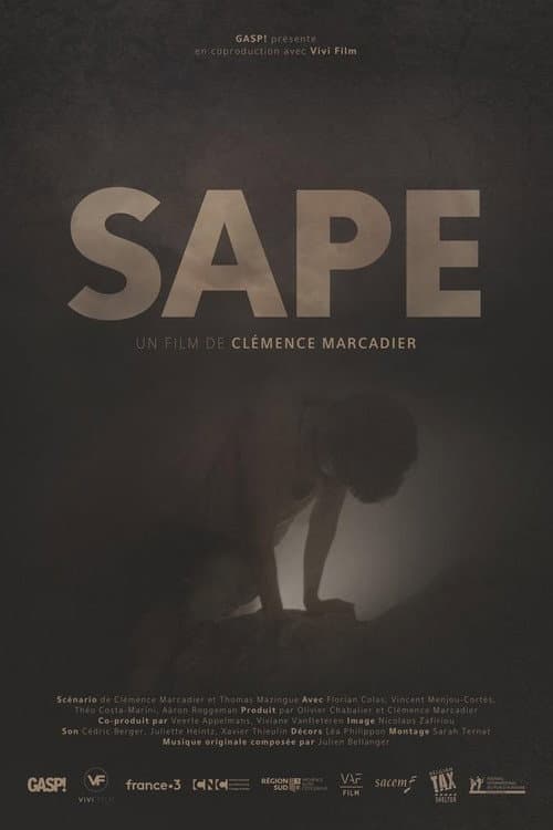 Постер: Sape